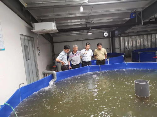 安徽省水產技術推廣總站赴浙江調研漁業綠色健康養殖 探索產業升級與飼料銷售協同發展新路徑